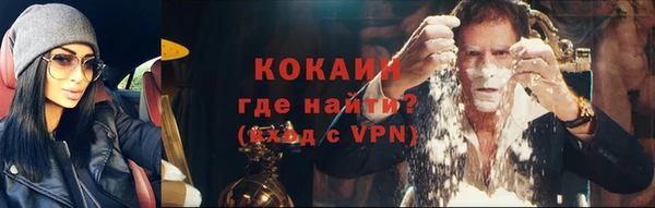 винт Абаза