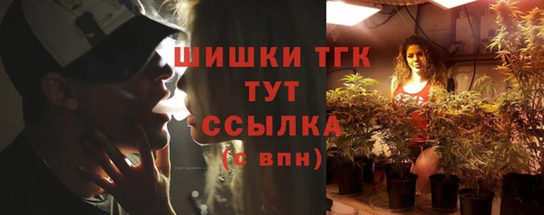 винт Абаза