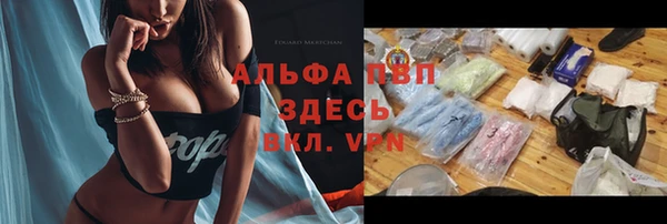 винт Абаза