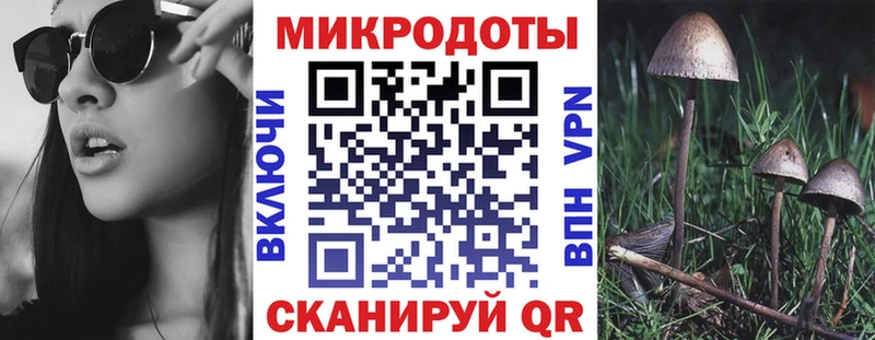 Галлюциногенные грибы Psilocybe  даркнет формула  Тотьма  где купить наркоту 